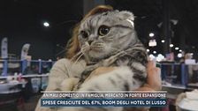 Animali domestici in famiglia, mercato in forte espansione