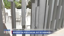 In collegamento da Cagliari, intossicati dal pesce