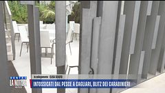 In collegamento da Cagliari, intossicati dal pesce