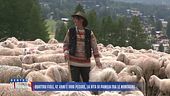 Quattro figli, 47 anni e 1000 pecore, la vita di Pamela tra le montagne
