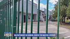 Maltrattamenti sui bambini, sospese tre maestre a Potenza