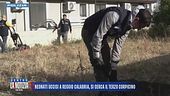 Neonati uccisi a Reggio Calabria, si cerca il terzo corpicino