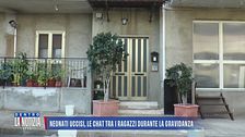 Neonati uccisi, le chat tra i ragazzi durante la gravidanza