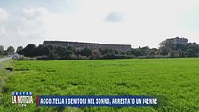 Accoltella i genitori nel sonno, arrestato un 14enne