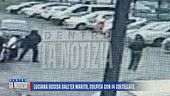 Luciana uccisa dall'ex marito, colpita con 14 coltellate