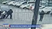 Luciana uccisa dall'ex marito, colpita con 14 coltellate