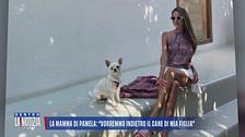 La mamma di Pamela: "Vorremmo indietro il cane di mia figlia"
