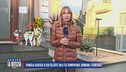 Pamela uccisa a coltellate dall'ex compagno: domani i funerali