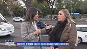 Beatrice , si cerca un'auto grigia coinvolta nell'incidente