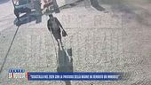 Si finge la madre per incassare la pensione, caccia al complice