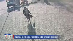 Si finge la madre per incassare la pensione, caccia al complice