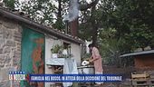 Famiglia nel bosco, in attesa della decisione del Tribunale