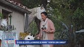 La casa nel bosco, la curatrice dei minori: "I genitori sono cambiati"