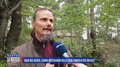 Casa nel bosco, le motivazioni dei giudici: "C'era una bronchite non curata"
