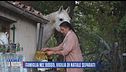 I bimbi del bosco restano in comunità, Natale diviso