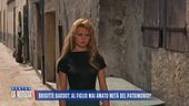 Brigitte Bardot: un'eredità tra rimpianti e polemiche