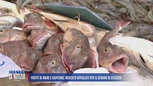 Frutti di mare e capitone: mercato affollato per il cenone di stasera