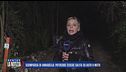 In provincia di Padova si allargano le ricerche di Annabella