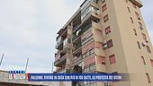 Palermo: vivono in casa con più di 100 gatti, la protesta dei vicini
