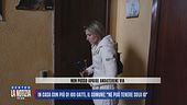 Palermo, parla la donna che vive con più di 100 gatti