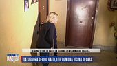 La signora dei 100 gatti, lite con una vicina di casa