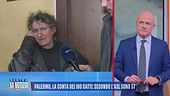 Palermo, la conta dei 100 gatti: secondo l'Asl sono 57