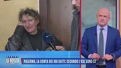 Palermo, la conta dei 100 gatti: secondo l'Asl sono 57