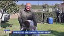 Trova i resti del cane scomparso: "Sbranato dai lupi"