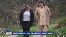 Famiglia nel bosco: il piano di nonna e zia per riavere i bambini