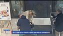 Bergamo, interrogato l'uomo che ha cercato di rapire la bimba