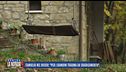 Famiglia nel bosco, la nuova perizia contro la casa famiglia