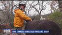 Come stanno gli animali della famiglia nel bosco?