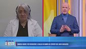 Daniela Ruggi: per risolvere il giallo in campo gli esperti del caso Garlasco