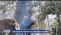 Famiglia nel bosco: verranno vietate le videochiamate alla mamma?