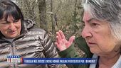 Famiglia nel bosco, le dichiarazioni di nonna Pauline