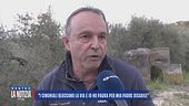 Troppi cinghiali: "Mio padre è disabile, mia sorella non riesce a raggiungerlo"