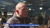 Epatite A, la protesta dei venditori di cozze: "Ci stanno rovinando"