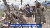 Famiglia nel bosco, la zia: "Spero nel miracolo del ritorno dei bimbi"