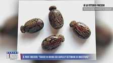 Il Prof Fineschi: "Tracce di ricina sui capelli? Settimane di ingestione"