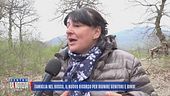 Famiglia nel bosco, la zia: "I miei ricordi con i bambini e gli animali"
