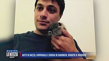 Gatti di razza, pappagalli e droga in canonica: sparito il parroco