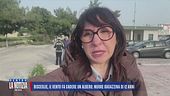 Bisceglie, il vento da cadere un albero: muore ragazzina di 12 anni