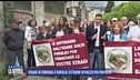 Strage di cinghiali a Rapallo: cittadini in piazza per protesta