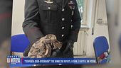 "Scoperta casa-discarica": tre bimbi tra rifiuti, 11 cani, 3 gatti e un pitone