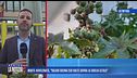 Morte avvelenate, nuovi interrogatori