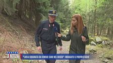 Lucia sbranata sul sentiero dai cani, in qui boschi anche lupi e orsi