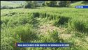 Ultim'ora: Pavia, ragazza trovata morta in una scarpata