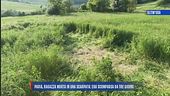 Ultim'ora: Pavia, ragazza trovata morta in una scarpata