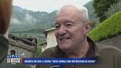 Sbranata dai cani, il cugino: "Quegli animali sono una macchina da guerra"