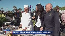 Cattolica in fiore, le ricette che profumano di primavera
